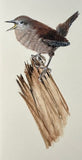 Wren (7,5 cm)