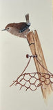 Wren (7,5 x 36,5 cm)