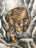 Tiger on the rocks - with BOX (199 cm)