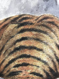 Tiger on the rocks - with BOX (199 cm)