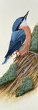Nuthatch (7,5 cm)