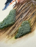 Nuthatch (7,5 cm)
