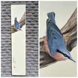 Nuthatch (7,5 cm)
