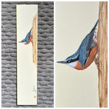 Nuthatch (7,5 cm)