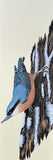 Nuthatch (7,5 cm)