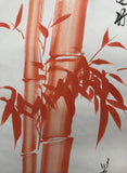 Red bamboo - with BOX (135 cm)