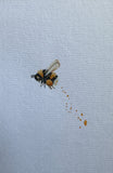 Bumblebee (24 cm)