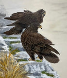 Eagles (24 x 27 cm)