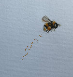 Bumblebee (24 cm)