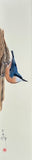 Nuthatch (7,5 cm)