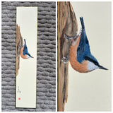 Nuthatch (7,5 cm)