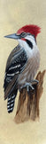 Woodpecker (7,5 cm)