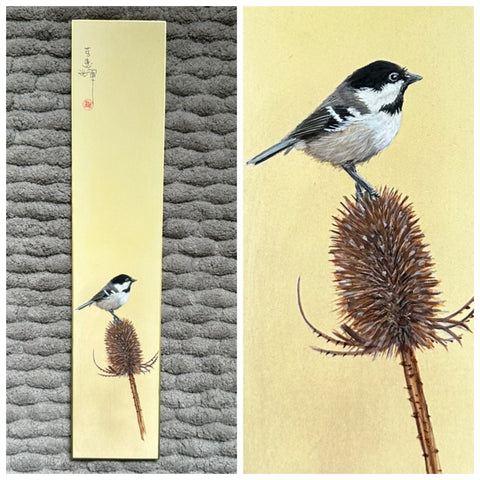 Marsh Tit (7,5 cm)