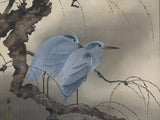 Herons (132 cm)