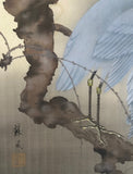 Herons (132 cm)