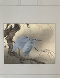 Herons (132 cm)