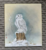 Owl with snow (24 x 27 cm)