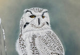 Owl with snow (24 x 27 cm)