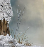 Owl with snow (24 x 27 cm)