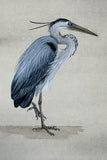 Heron (18 x 21 cm)