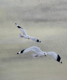 Seagulls (18 x 21 cm)