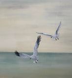 Seagulls (24 x 27 cm)
