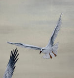 Seagulls (24 x 27 cm)