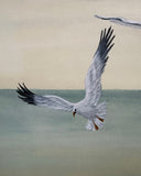Seagulls (24 x 27 cm)
