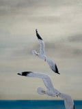 Seagulls (24 x 27 cm)