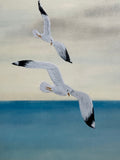Seagulls (24 x 27 cm)
