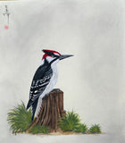 Woodpecker (24 x 27 cm)