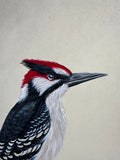 Woodpecker (24 x 27 cm)