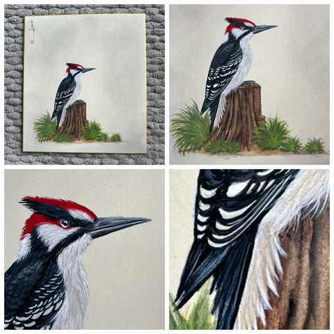 Woodpecker (24 x 27 cm)