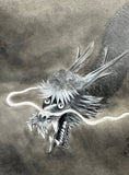 Dragon (24 x 27 cm)