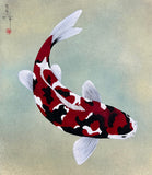 Koi (24 x 27 cm)