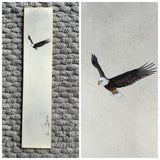 Eagle (7,5 cm)