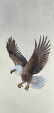 Eagle (7,5 cm)