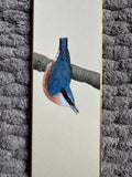 Nuthatch (7,5 cm)