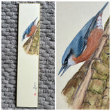 Nuthatch (7,5 cm)