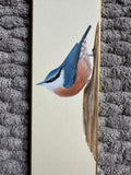 Nuthatch (7,5 cm)