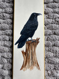 Raven (7,5 cm)