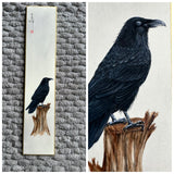 Raven (7,5 cm)