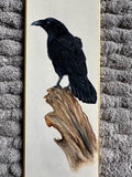 Raven (7,5 cm)