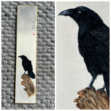 Raven (7,5 cm)