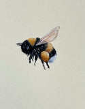 Bumblebee (7,5 cm)