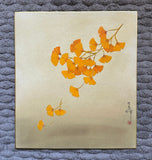 Ginkgo-leaves (24 x 27 cm)