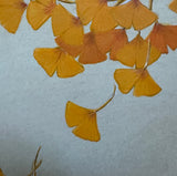 Ginkgo-leaves (24 x 27 cm)