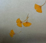 Ginkgo-leaves (24 x 27 cm)