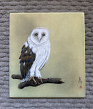 Owl (24 x 27 cm)