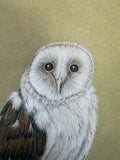 Owl (24 x 27 cm)